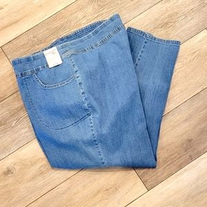Terra & Sky Jeans Petite